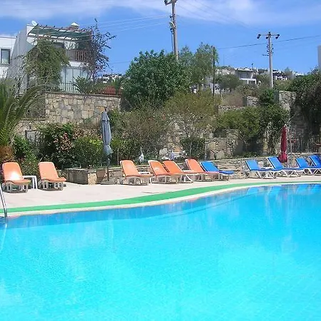Mini Star Hotell 2*