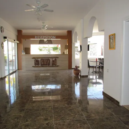 Mini Star 2*