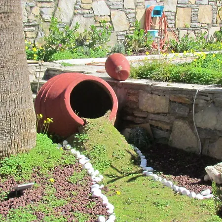 Hotell Mini Star Bodrum