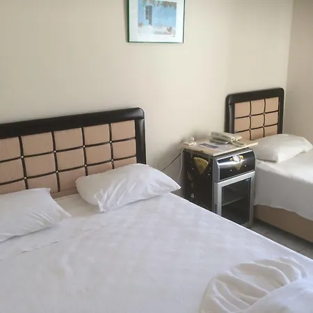 Hotell Mini Star 2*