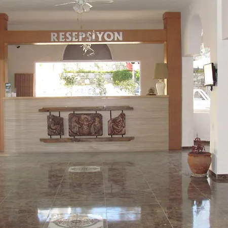 Mini Star Hotel 2*