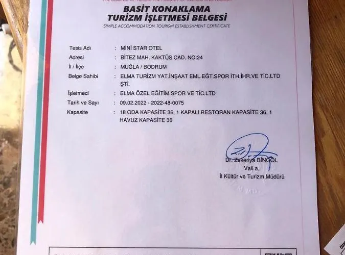 מלון Mini Star 2*