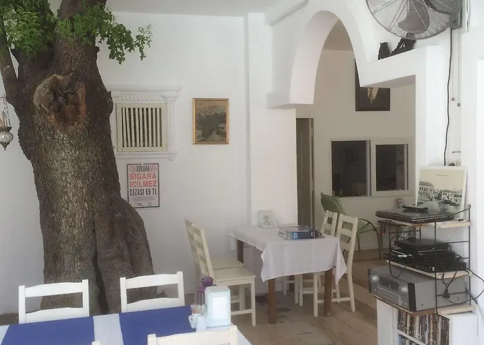 Mini Star בודרום