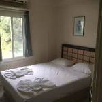Mini Star
