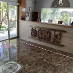 Mini Star