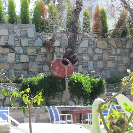Mini Star Hotel