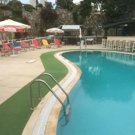 Hotel Mini Star 2*
