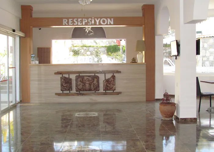 Mini Star Hotel 2*