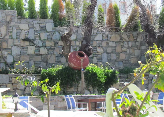 Mini Star Hotel